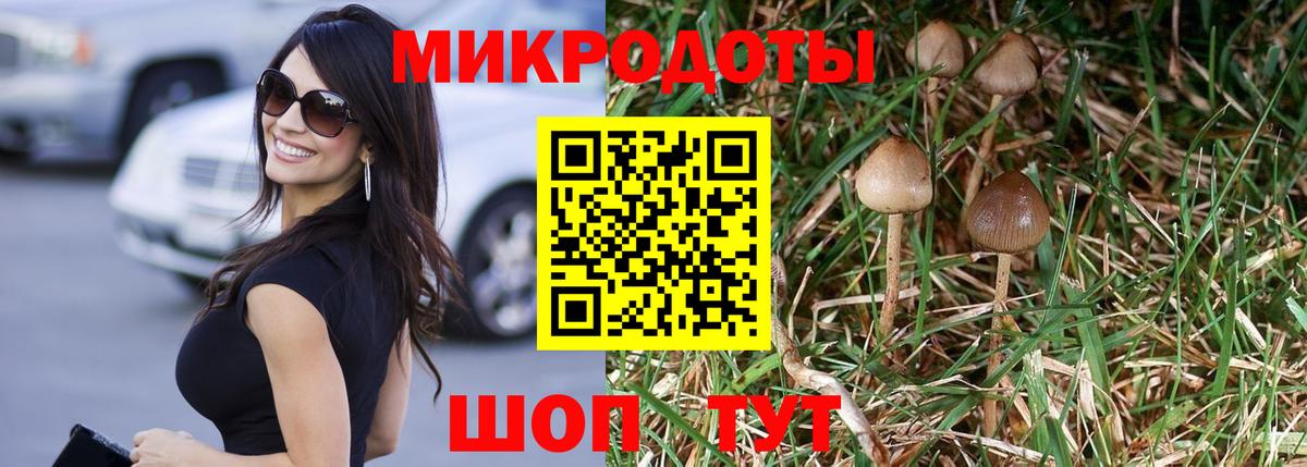 Псилоцибиновые грибы мицелий Ростов-на-Дону